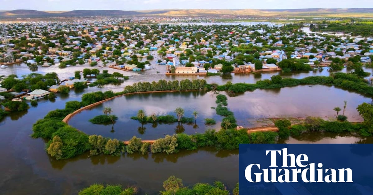 ‘No one saw this level of devastation coming’: climate crisis worsens in Somalia